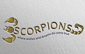 Team Scorpions